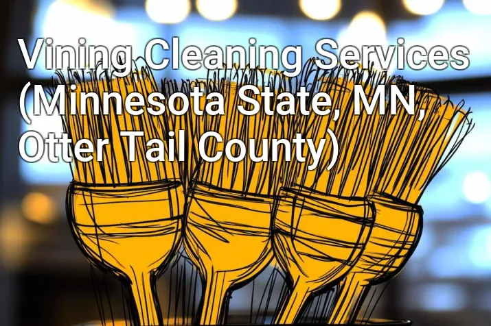 Vining Cleaning Services (Minnesota State, MN, Otter Tail County)
