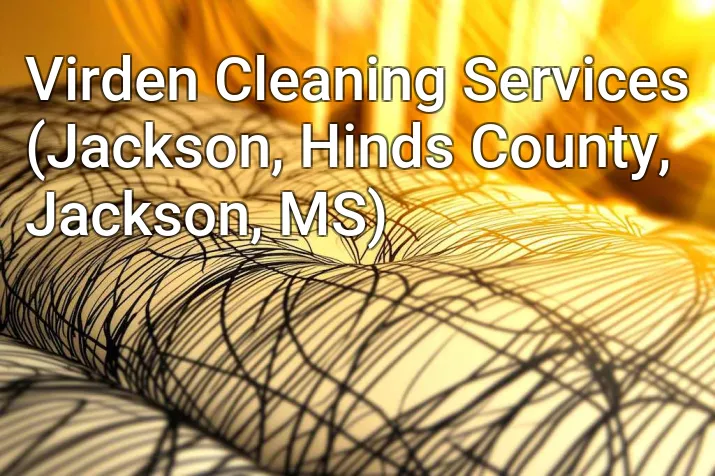 Virden Cleaning Services (Jackson, Hinds County, Jackson, MS)