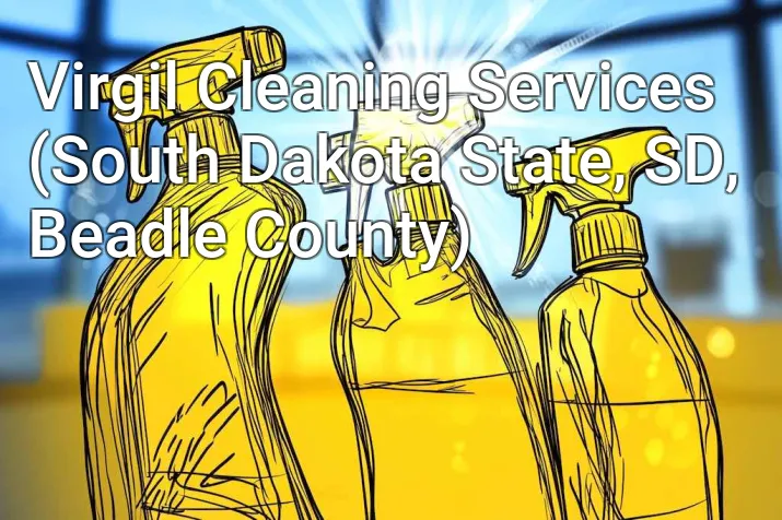 Virgil Cleaning Services (South Dakota State, SD, Beadle County)