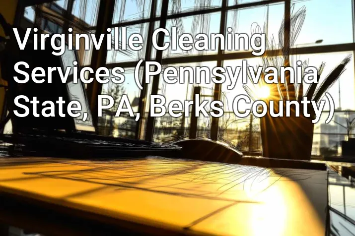 Virginville Cleaning Services (Pennsylvania State, PA, Berks County)