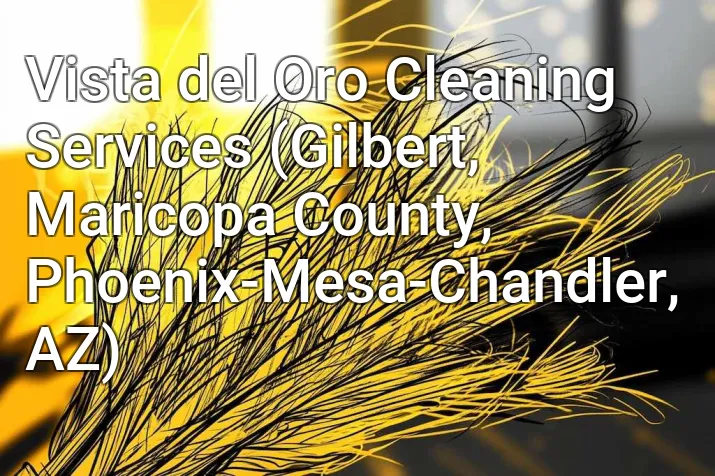 Vista del Oro Cleaning Services (Gilbert, Maricopa County, Phoenix-Mesa-Chandler, AZ)