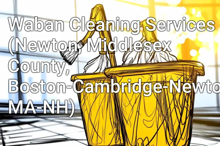Waban Cleaning Services (Newton, Middlesex County, Boston-Cambridge-Newton, MA-NH)