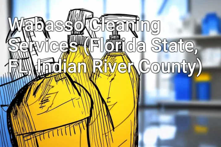 Wabasso Cleaning Services (Florida State, FL, Indian River County)