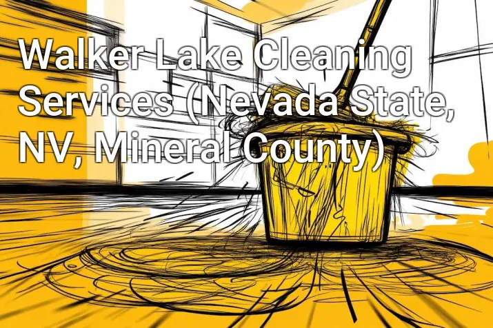 Walker Lake Cleaning Services (Nevada State, NV, Mineral County)