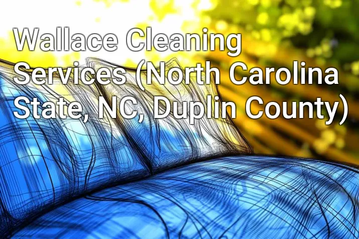 Wallace Cleaning Services (North Carolina State, NC, Duplin County)