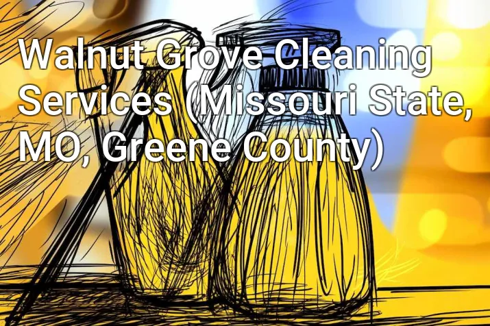 Walnut Grove Cleaning Services (Missouri State, MO, Greene County)