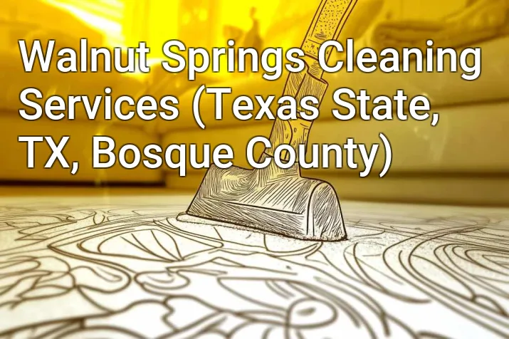 Walnut Springs Cleaning Services (Texas State, TX, Bosque County)
