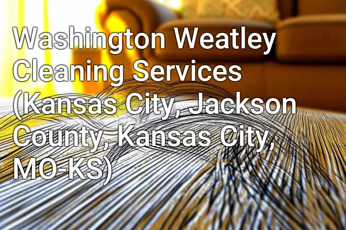 Washington Weatley Cleaning Services (Kansas City, Jackson County, Kansas City, MO-KS)