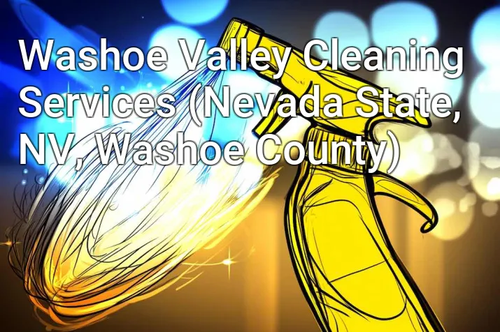 Washoe Valley Cleaning Services (Nevada State, NV, Washoe County)