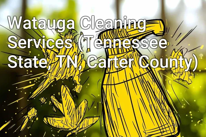 Watauga Cleaning Services (Tennessee State, TN, Carter County)