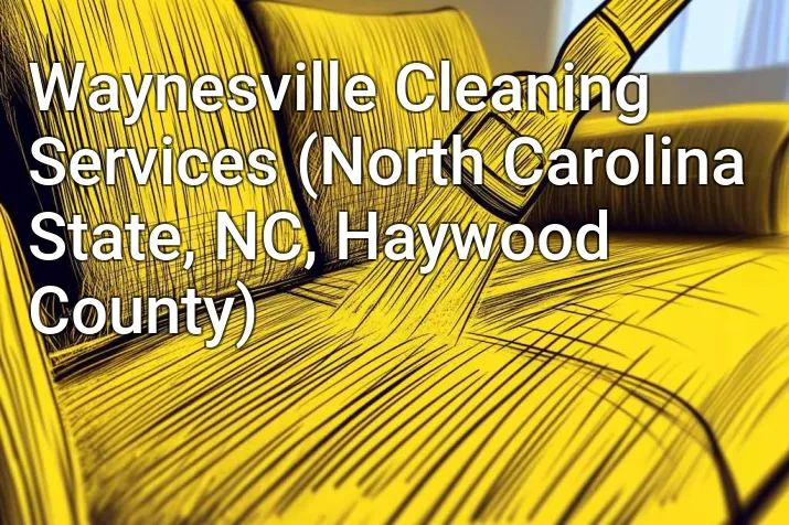 Waynesville Cleaning Services (North Carolina State, NC, Haywood County)