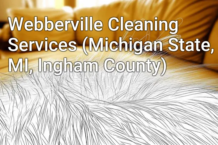 Webberville Cleaning Services (Michigan State, MI, Ingham County)