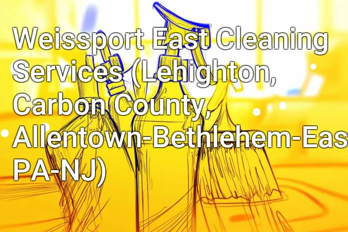 Weissport East Cleaning Services (Lehighton, Carbon County, Allentown-Bethlehem-Easton, PA-NJ)