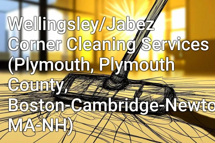 Wellingsley/Jabez Corner Cleaning Services (Plymouth, Plymouth County, Boston-Cambridge-Newton, MA-NH)