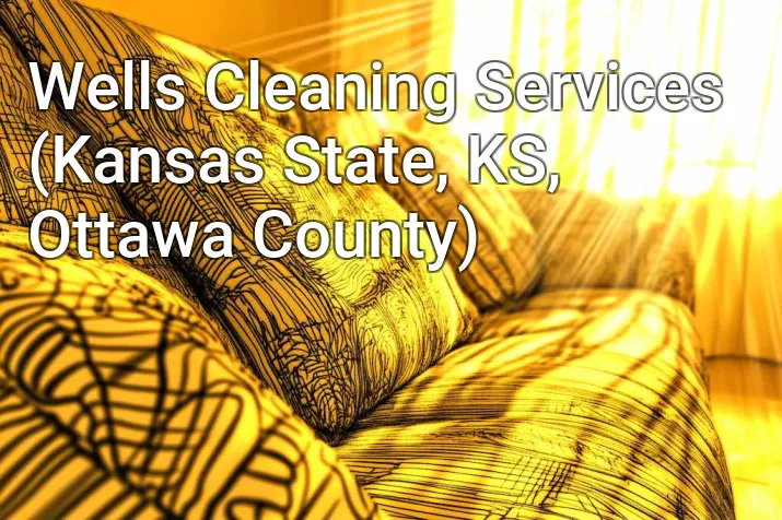 Wells Cleaning Services (Kansas State, KS, Ottawa County)