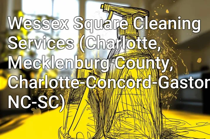 Wessex Square Cleaning Services (Charlotte, Mecklenburg County, Charlotte-Concord-Gastonia, NC-SC)