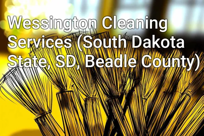 Wessington Cleaning Services (South Dakota State, SD, Beadle County)
