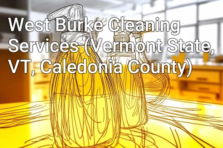 West Burke Cleaning Services (Vermont State, VT, Caledonia County)