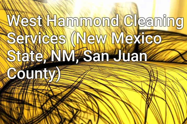 West Hammond Cleaning Services (New Mexico State, NM, San Juan County)