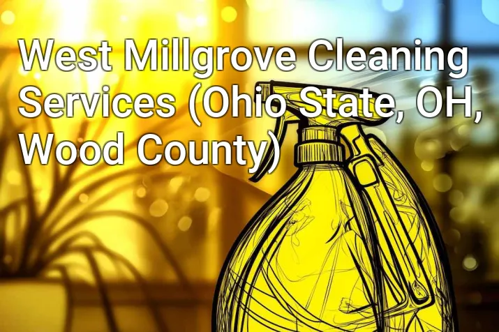 West Millgrove Cleaning Services (Ohio State, OH, Wood County)