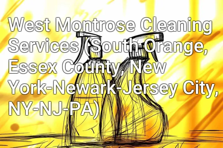 West Montrose Cleaning Services (South Orange, Essex County, New York-Newark-Jersey City, NY-NJ-PA)