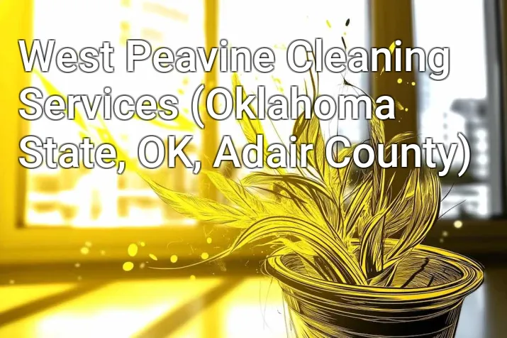 West Peavine Cleaning Services (Oklahoma State, OK, Adair County)