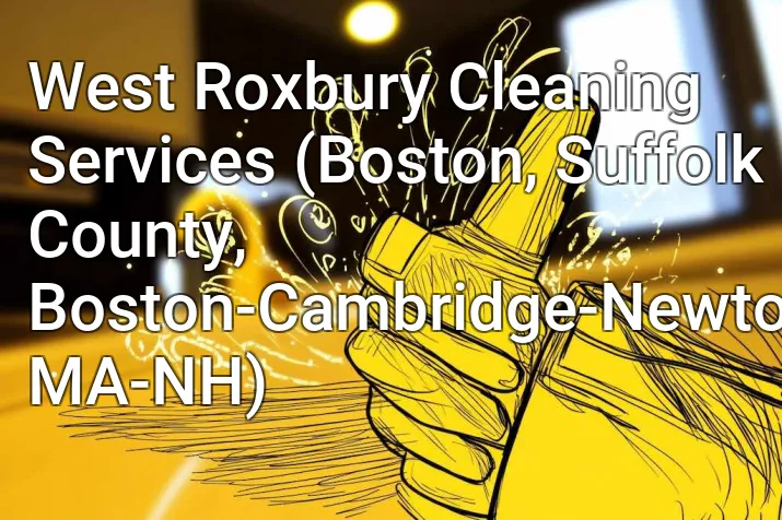 West Roxbury Cleaning Services (Boston, Suffolk County, Boston-Cambridge-Newton, MA-NH)