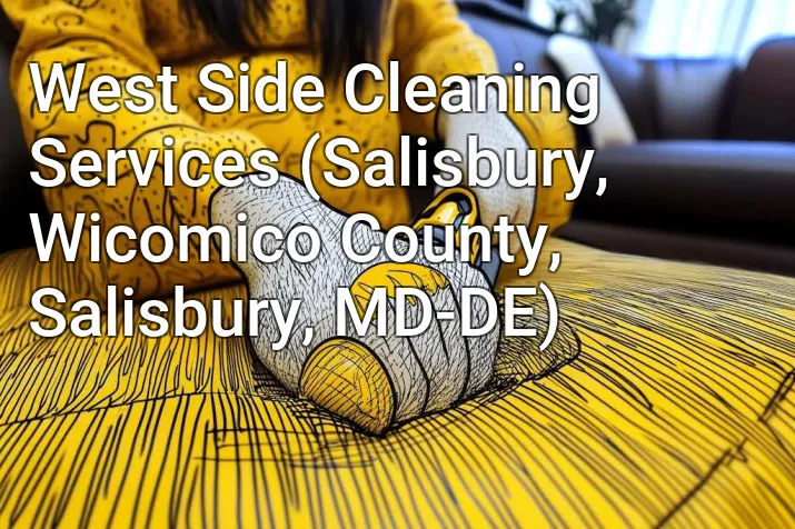 West Side Cleaning Services (Salisbury, Wicomico County, Salisbury, MD-DE)
