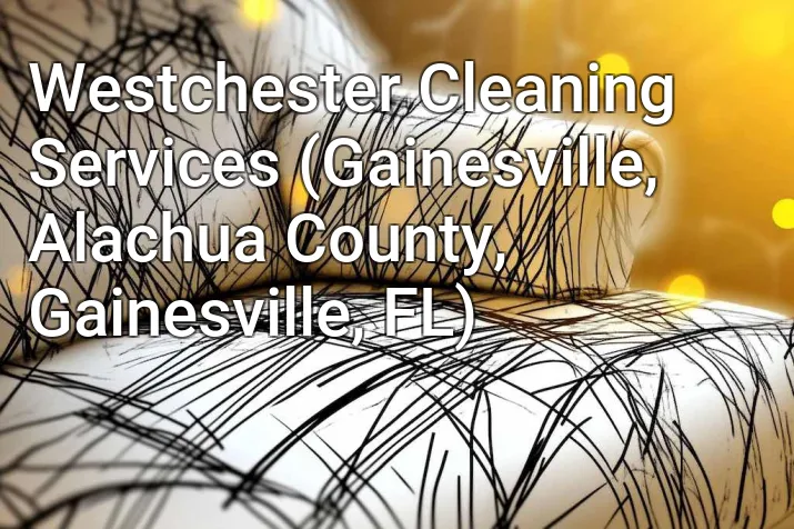 Westchester Cleaning Services (Gainesville, Alachua County, Gainesville, FL)