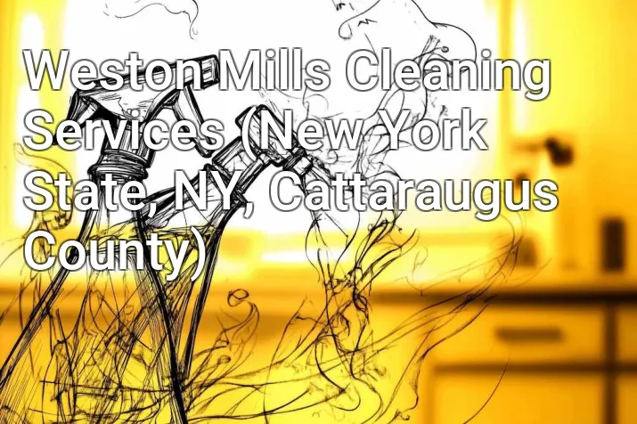 Weston Mills Cleaning Services (New York State, NY, Cattaraugus County)