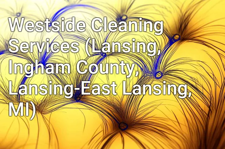 Westside Cleaning Services (Lansing, Ingham County, Lansing-East Lansing, MI)