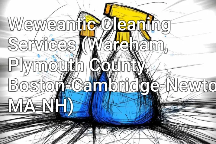 Weweantic Cleaning Services (Wareham, Plymouth County, Boston-Cambridge-Newton, MA-NH)