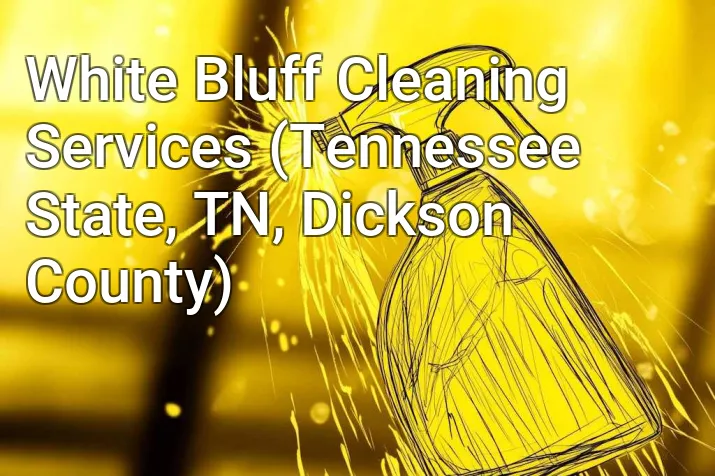 White Bluff Cleaning Services (Tennessee State, TN, Dickson County)