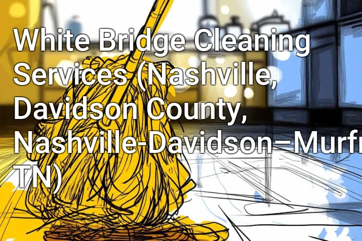 White Bridge Cleaning Services (Nashville, Davidson County, Nashville-Davidson–Murfreesboro–Franklin, TN)