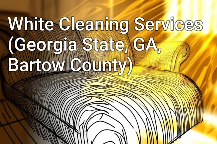 White Cleaning Services (Georgia State, GA, Bartow County)