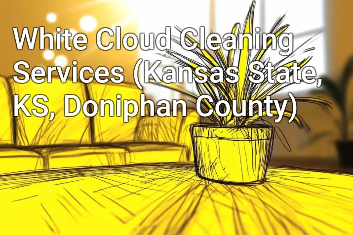 White Cloud Cleaning Services (Kansas State, KS, Doniphan County)