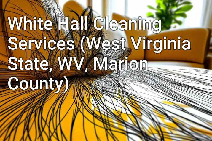 White Hall Cleaning Services (West Virginia State, WV, Marion County)