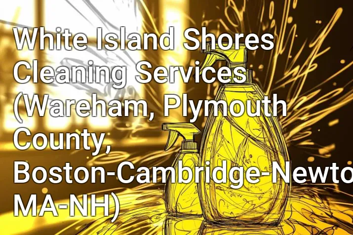 White Island Shores Cleaning Services (Wareham, Plymouth County, Boston-Cambridge-Newton, MA-NH)