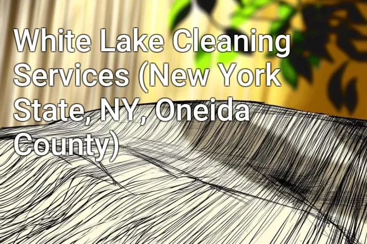 White Lake Cleaning Services (New York State, NY, Oneida County)