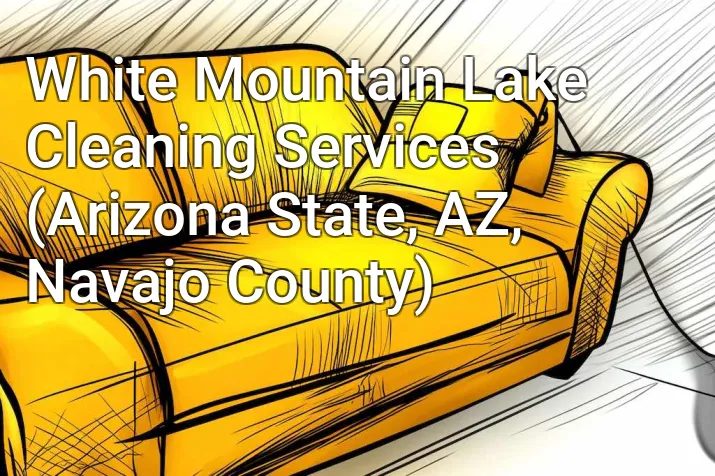 White Mountain Lake Cleaning Services (Arizona State, AZ, Navajo County)