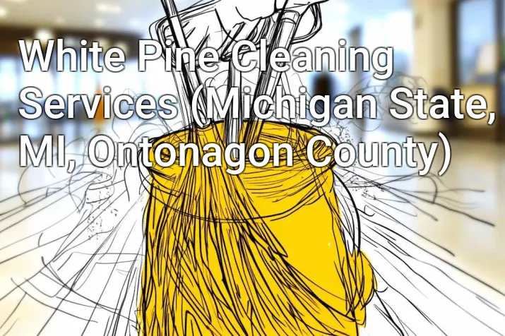 White Pine Cleaning Services (Michigan State, MI, Ontonagon County)