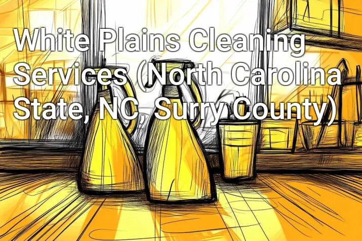 White Plains Cleaning Services (North Carolina State, NC, Surry County)