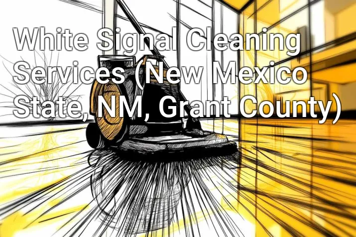 White Signal Cleaning Services (New Mexico State, NM, Grant County)