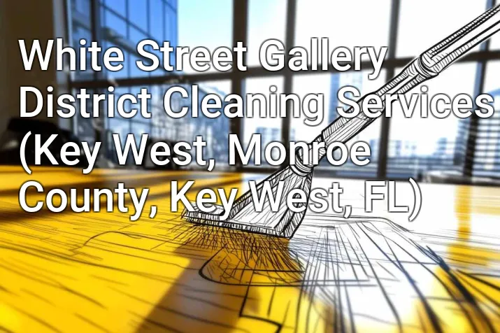 White Street Gallery District Cleaning Services (Key West, Monroe County, Key West, FL)