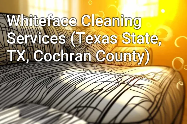Whiteface Cleaning Services (Texas State, TX, Cochran County)
