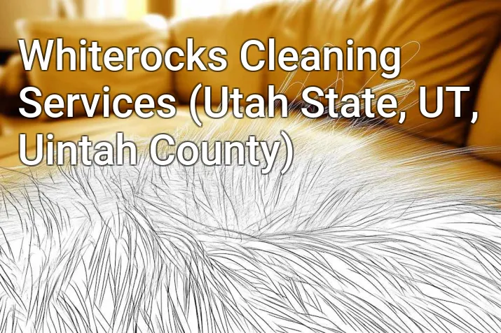 Whiterocks Cleaning Services (Utah State, UT, Uintah County)