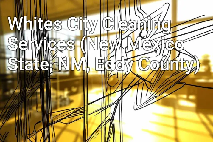Whites City Cleaning Services (New Mexico State, NM, Eddy County)