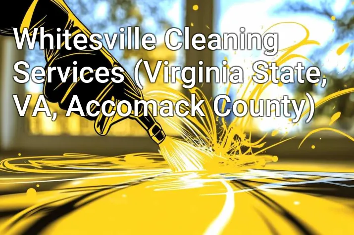 Whitesville Cleaning Services (Virginia State, VA, Accomack County)