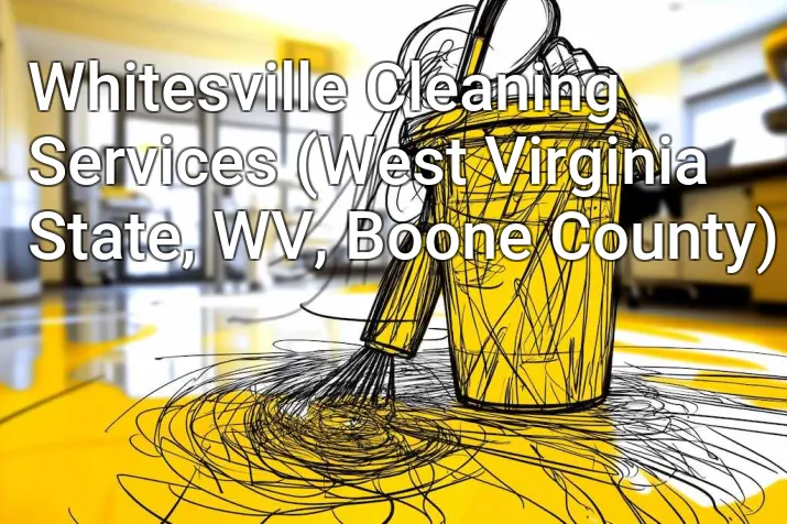 Whitesville Cleaning Services (West Virginia State, WV, Boone County)