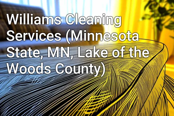 Williams Cleaning Services (Minnesota State, MN, Lake of the Woods County)